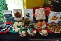 Besuch der Rastavillage Jamaika (7)