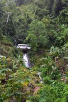 Blue Mountains Jamaika (4)