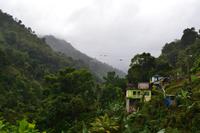 Blue Mountains Jamaika (5)