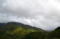 Blue Mountains Jamaika (6)