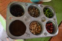 Blue Mountains Jamaika (11)