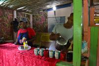 Blue Mountains Jamaika (12)