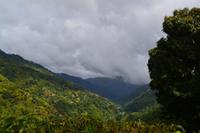 Bluemountains Jamaika (3)