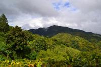 Bluemountains Jamaika (4)