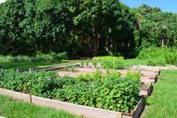 Botanischer Garten Roatan (13)