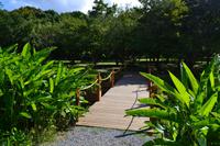 botanischer Garten Roatan (30)