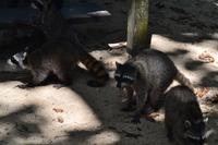 Cahiuta National Park (4)