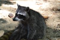 Cahiuta National Park (5)