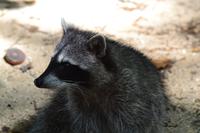 Cahiuta National Park (6)