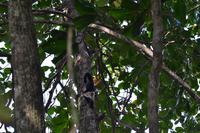 Cahiuta National Park (8)