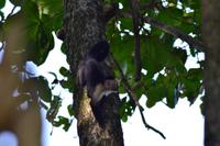 Cahiuta National Park (9)