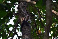 Cahiuta National Park (10)