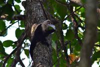 Cahiuta National Park (11)