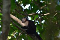 Cahiuta National Park (13)