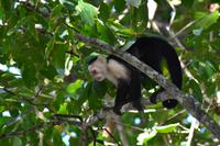 Cahiuta National Park (14)