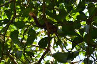 Cahiuta National Park (15)