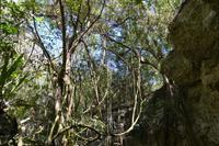 Cueva de las Maravillas (2)