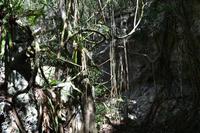 Cueva de las Maravillas (3)