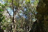 Cueva de las Maravillas (4)