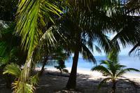 Fischerdorf auf Roatan (1)