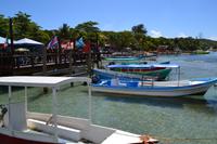 Fischerdorf auf Roatan (4)