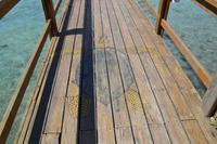 Fischerdorf auf Roatan (7)