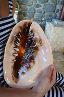 Muschelschnitzerei Roatan (2)