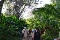 Rastavillage Montego Bay (7)