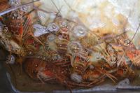 Restaurant Costa Rica (1)