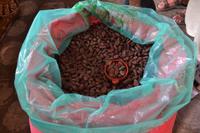 Schokoladenfabrik Roatan (4)