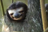 Tortuguero National Park (16)