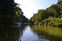 Tortuguero National Park (27)
