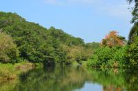 Tortuguero National Park (47)