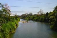 Tortuguero National Park (56)