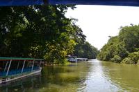 Tortuguero National Park (57)