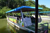 Tortuguero National Park (58)