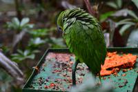 Zooanlage Cartagena (1)