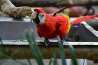 Zooanlage Cartagena (3)