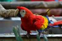 Zooanlage Cartagena (4)