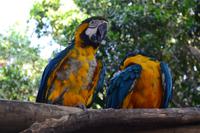 Zooanlage Cartagena (5)