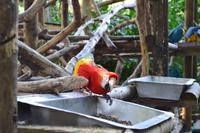 Zooanlage Cartagena (6)