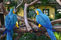 Zooanlage Cartagena (8)