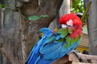 Zooanlage Cartagena (11)