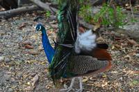 Zooanlage Cartagena (13)