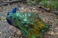 Zooanlage Cartagena (14)