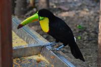 Zooanlage Cartagena (17)