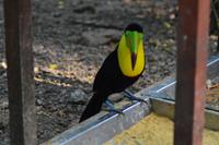 Zooanlage Cartagena (19)