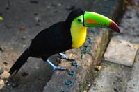 Zooanlage Cartagena (20)