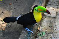 Zooanlage Cartagena (21)