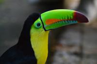 Zooanlage Cartagena (22)